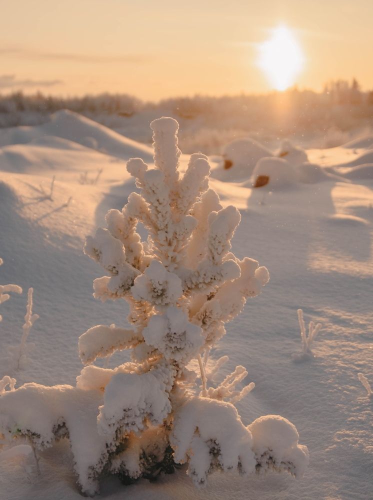 Photograph by Ксения Рябухина