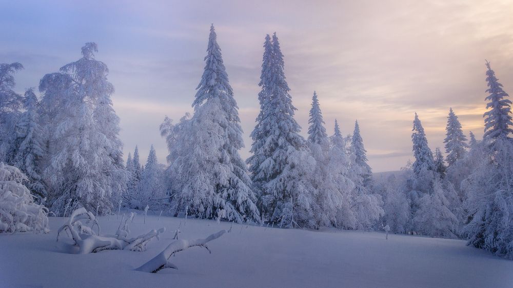 Photograph by Илья Толстоноженко