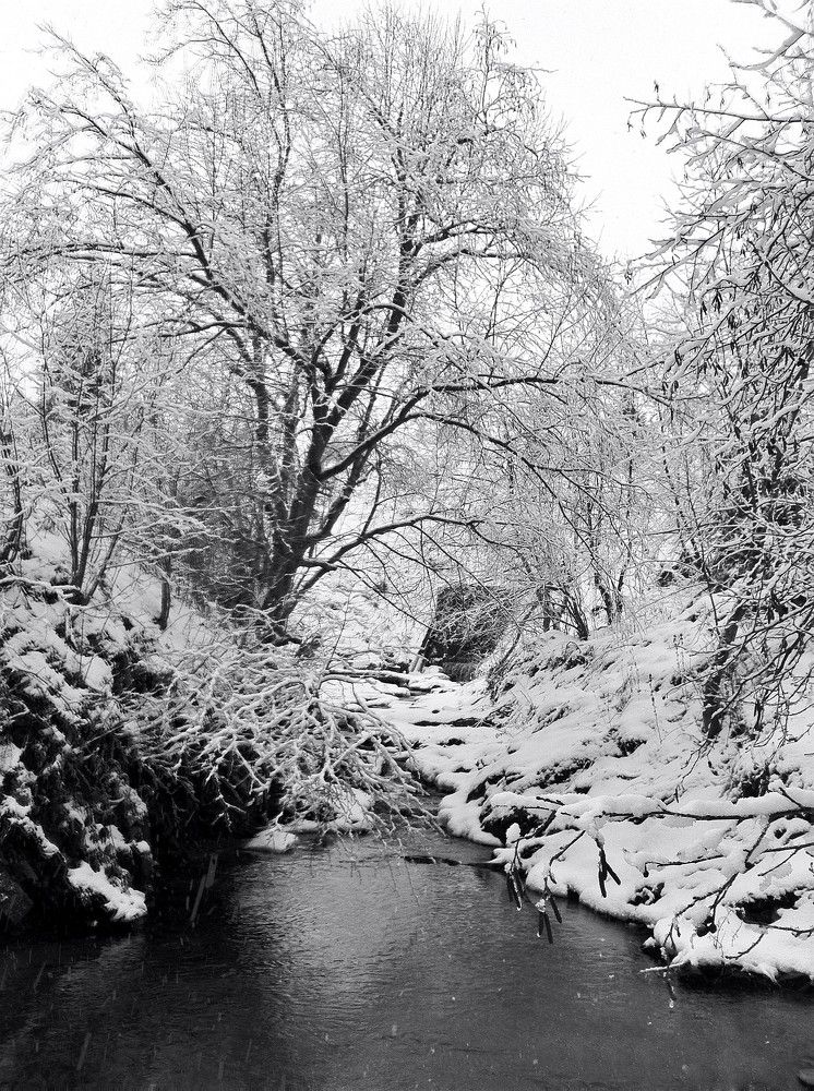 Photograph by Андрей Телибаев