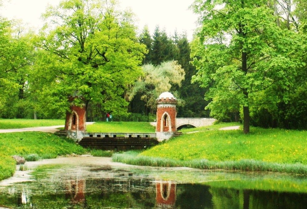 Photograph by Irina Mihailovskaya