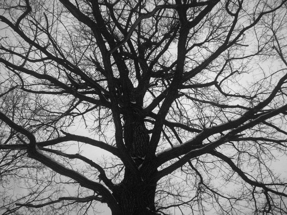 Photograph by Светлана Батурова