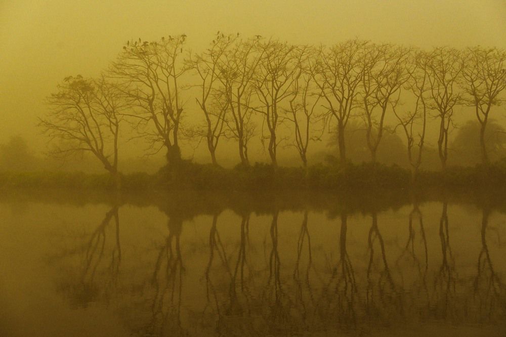 Photograph by Rajesh Dey