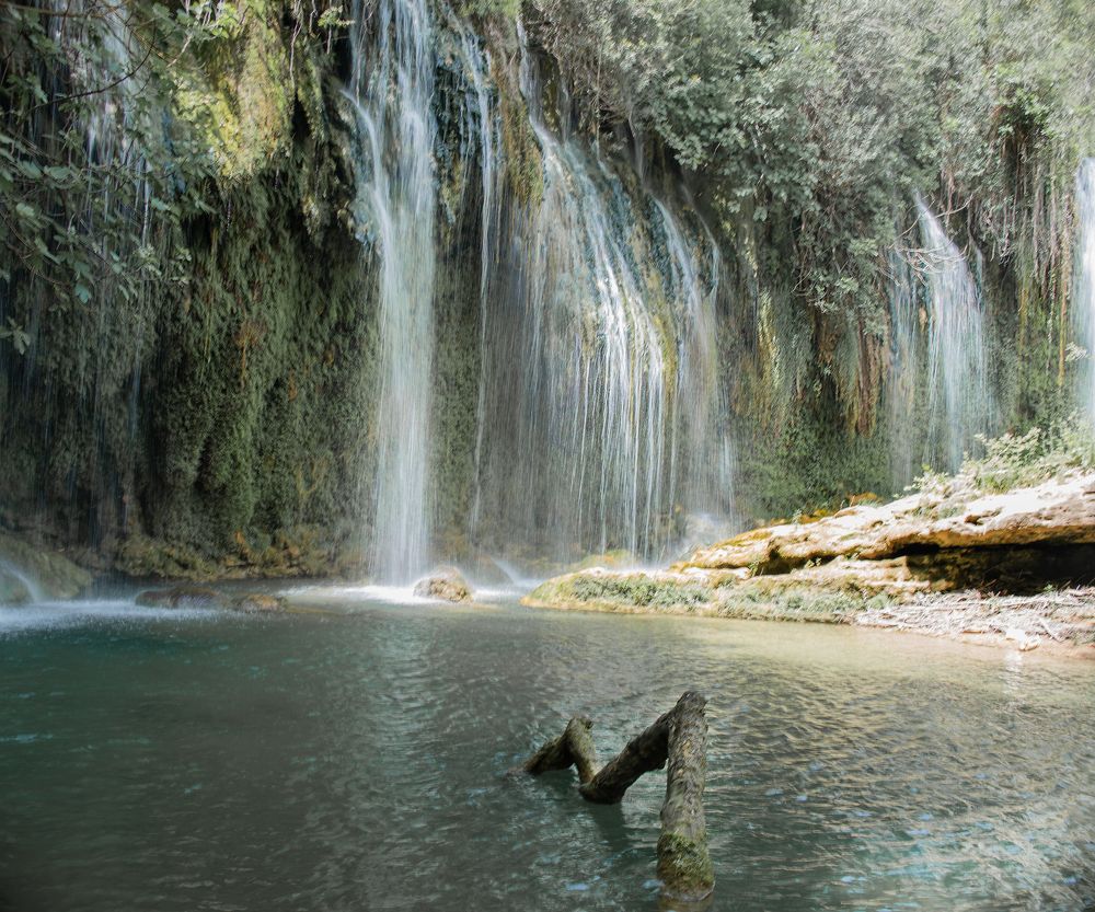 Photograph by Татьяна Мазепова