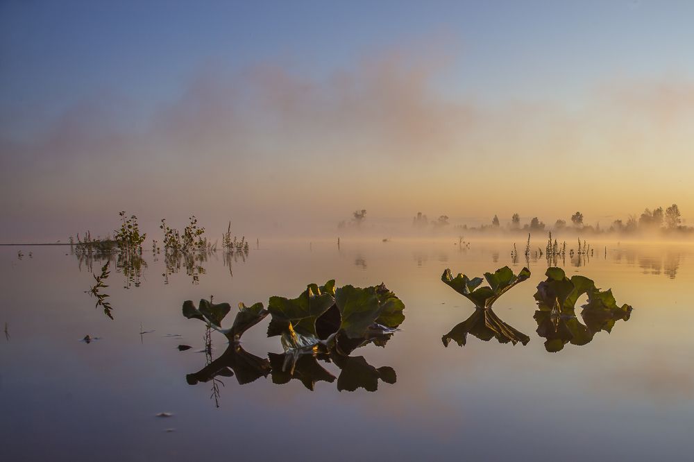 Photograph by Сергей Чарушин