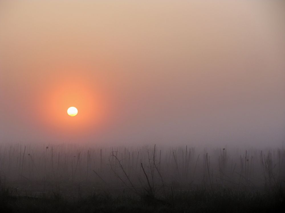 Photograph by 