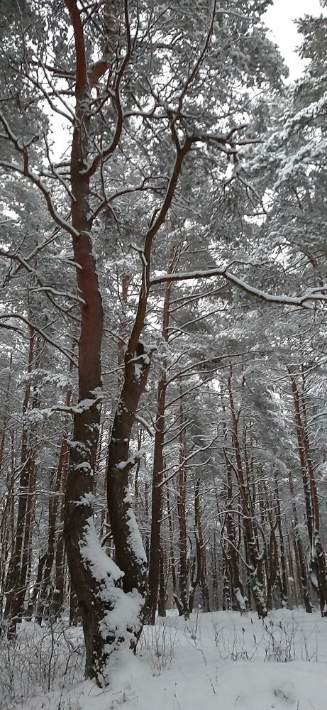 Photograph by Марийона Савоненко