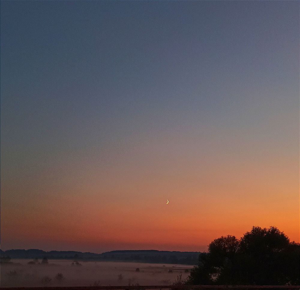 Photograph by Сергей Симаков