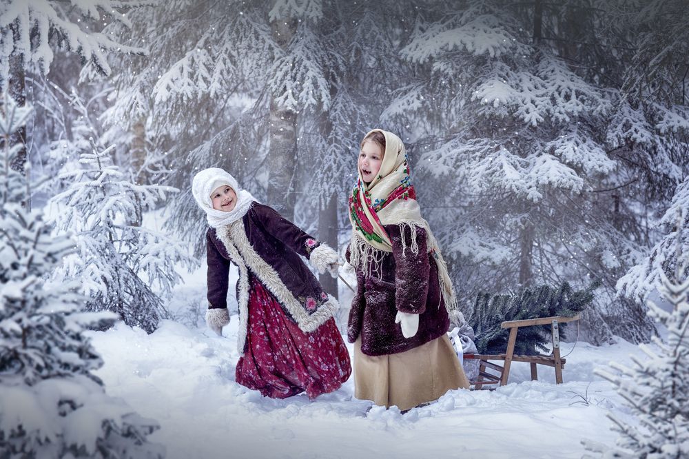 Сказки заснеженного леса