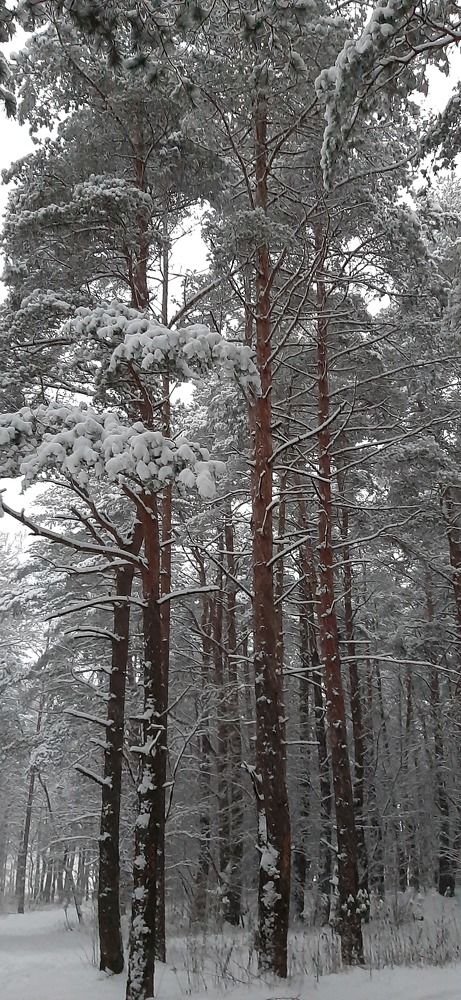 Photograph by Марийона Савоненко