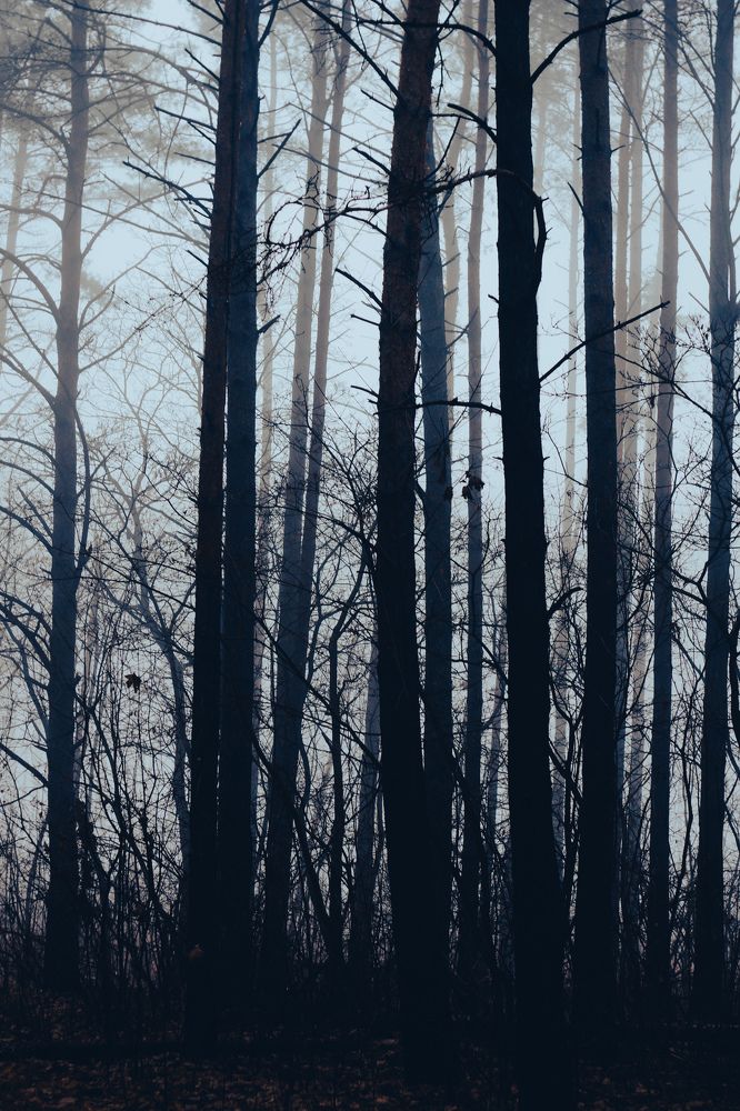 Photograph by Александр Казак