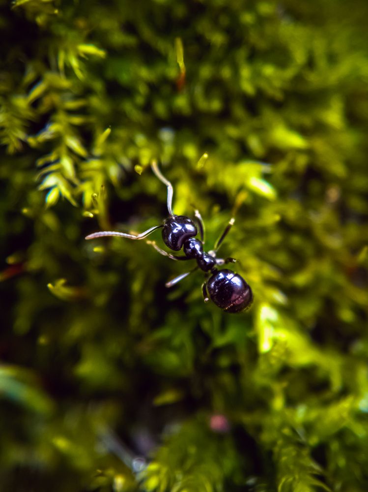 Photograph by Александр Безуглый