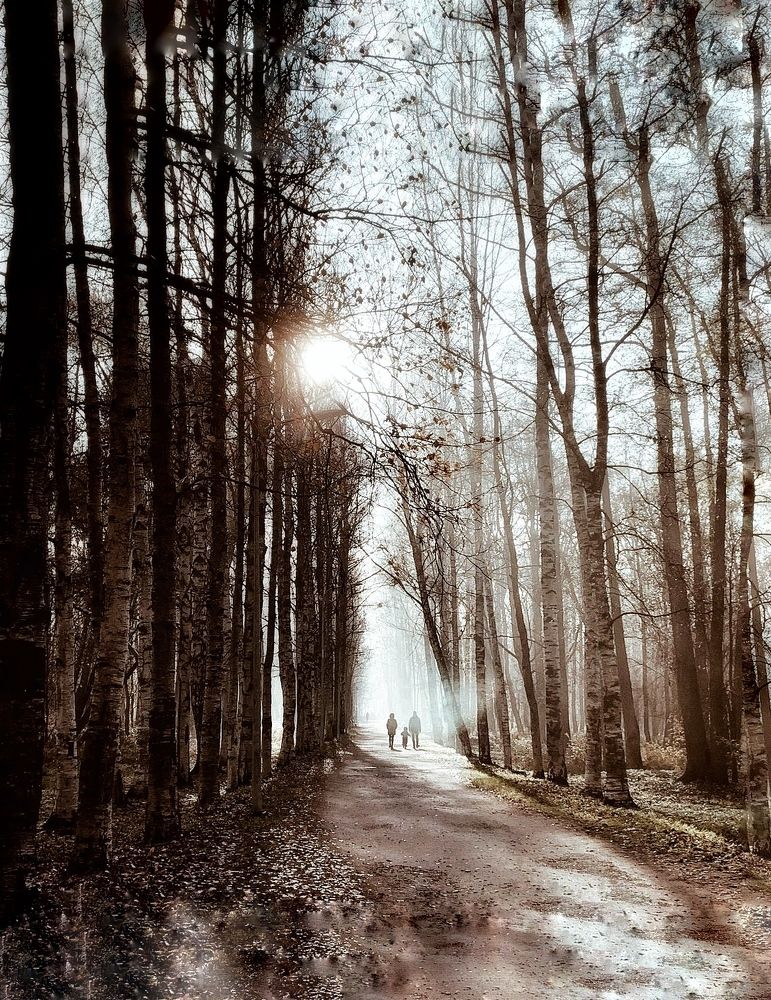 Photograph by Логинова Наталия