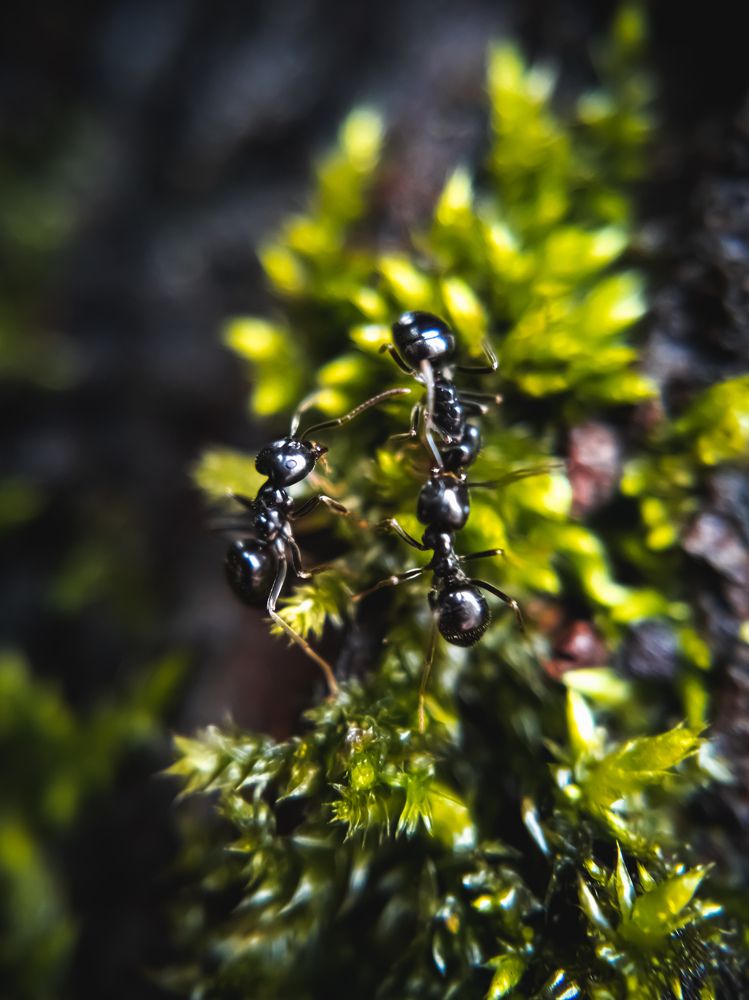 Photograph by Александр Безуглый