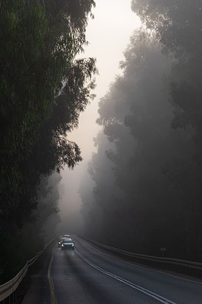 Photograph by Leonid Radashkovsky