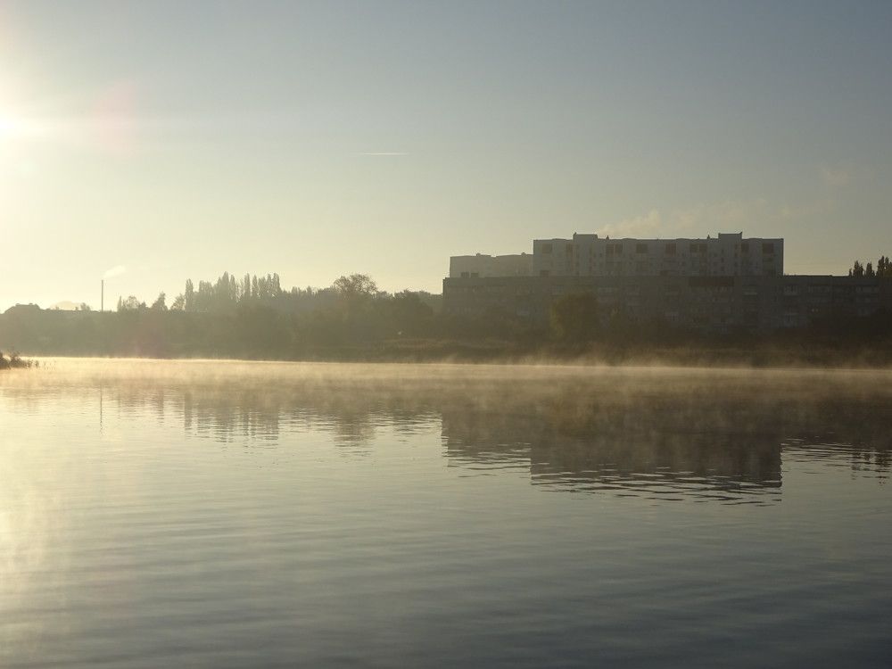 Берег в тумане