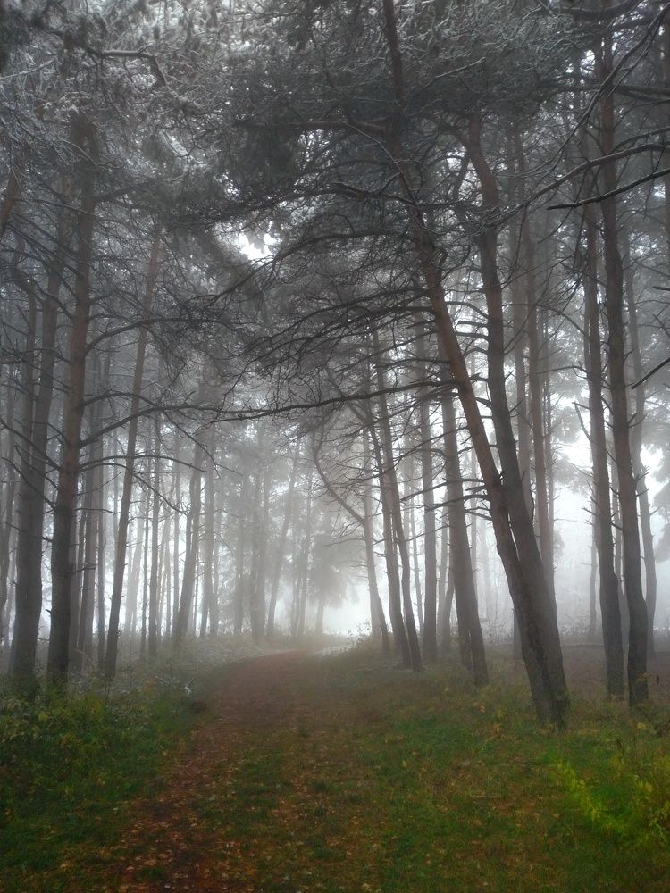 Photograph by Elena Lopatina