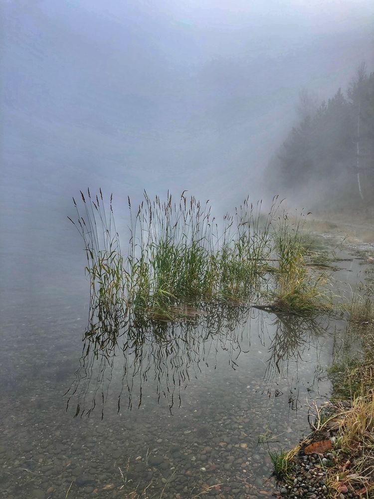 Photograph by Светлана Дмитриева