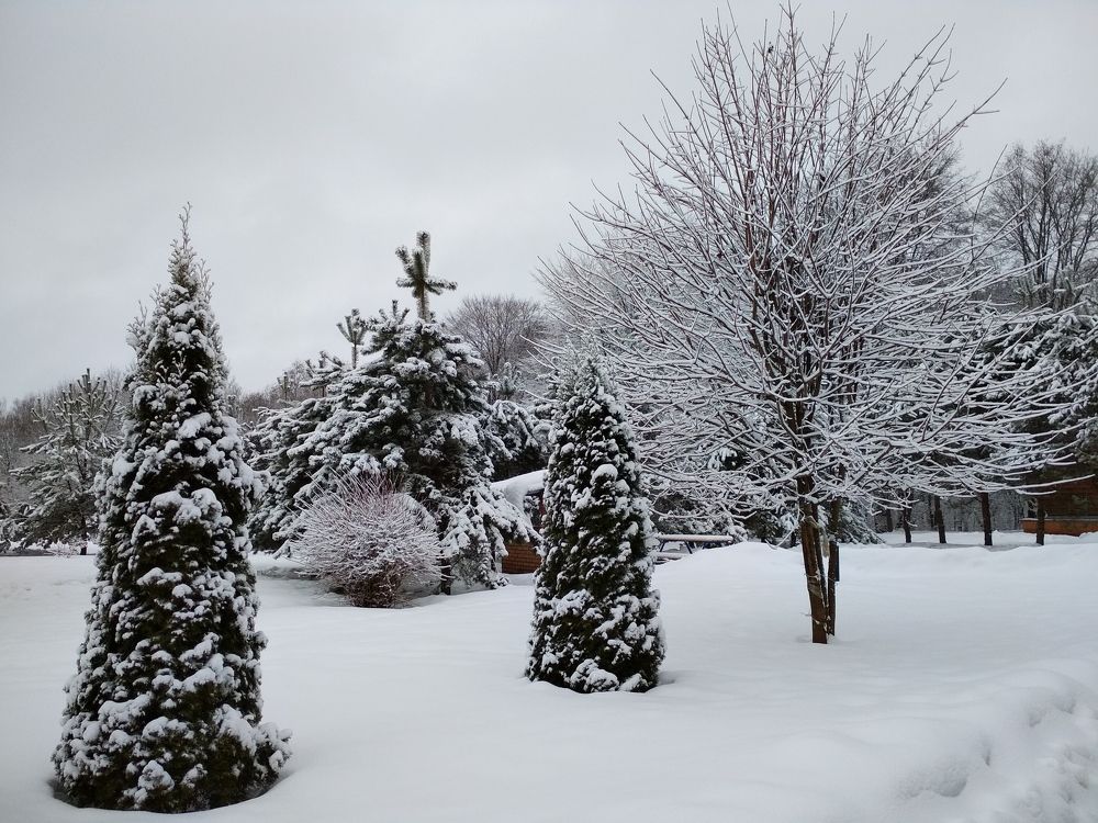 Photograph by ПЕТР ПУСТЫЛЬНИК