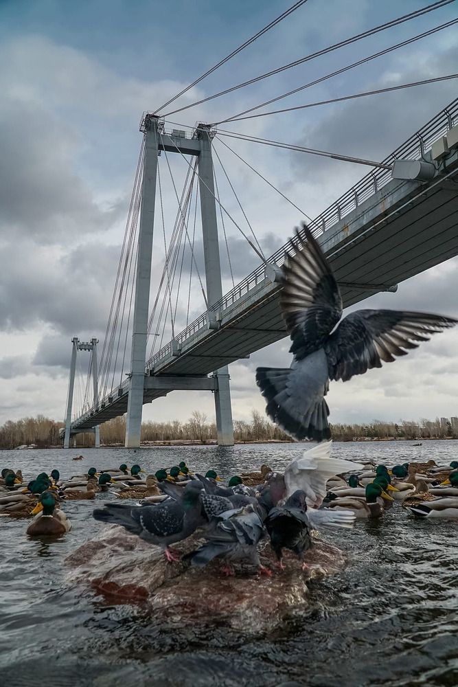 Ва́нтовый мост через Енисей