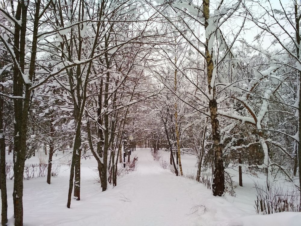 Photograph by ПЕТР ПУСТЫЛЬНИК