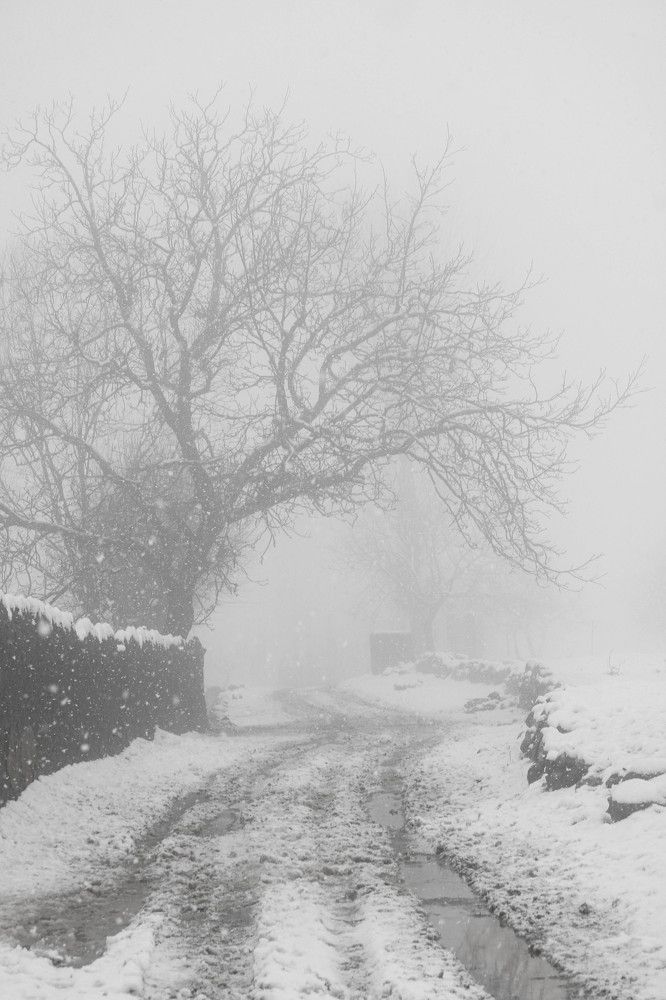 Photograph by javad abolhassani