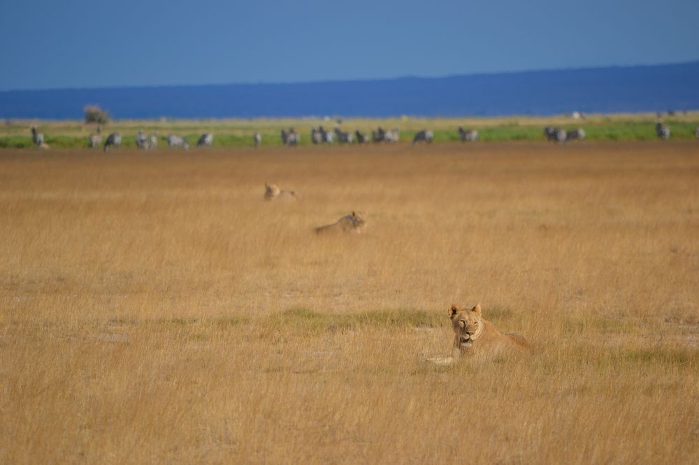 Photograph by Ольга Садохова