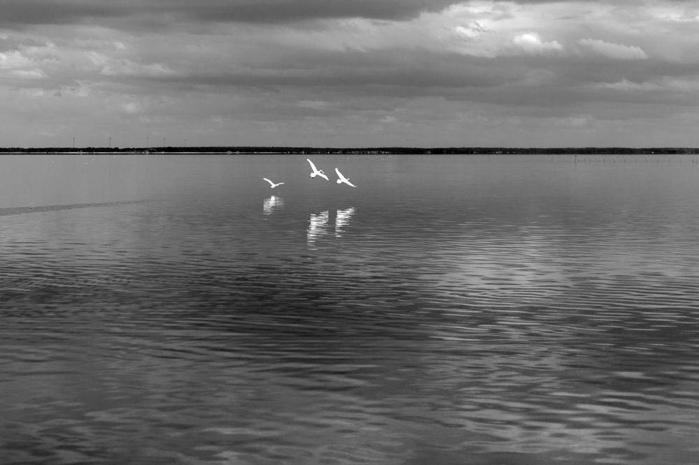 Photograph by Rolandas Valančauskas