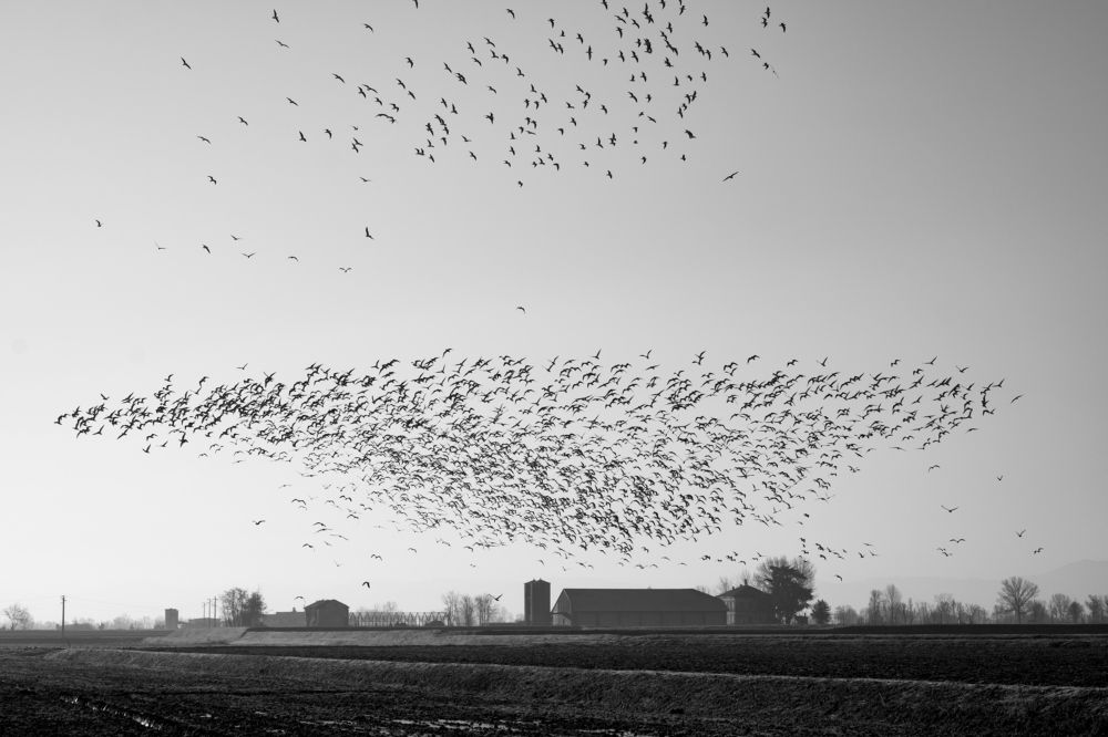 Photograph by Elliott Grieshofer