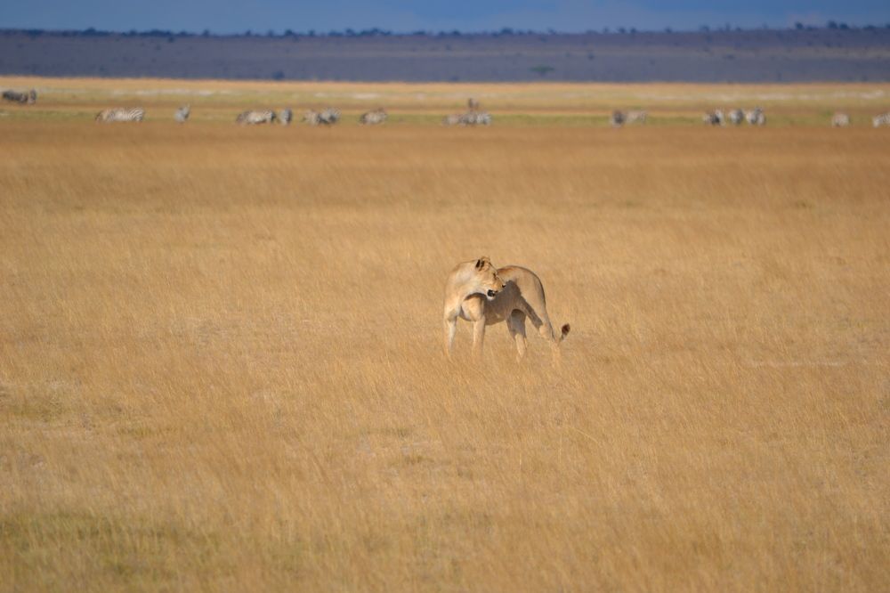 Photograph by Ольга Садохова