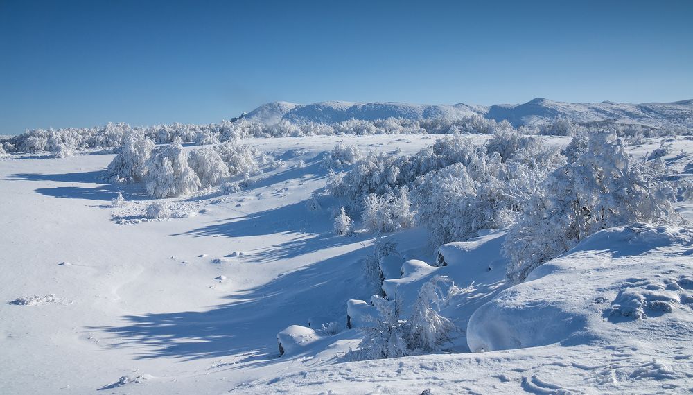 Photograph by Елена Ковригина