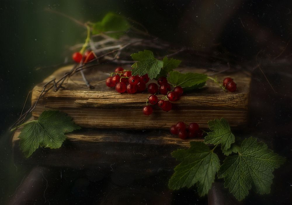 Photograph by Svoboda Andreeva