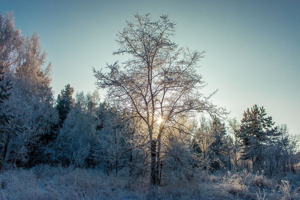 Photograph by Дарья