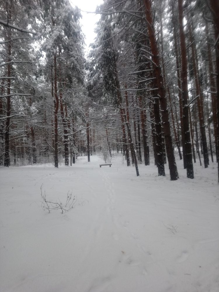 Photograph by Дарья
