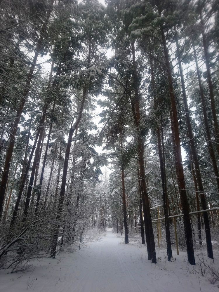 Photo #6904112