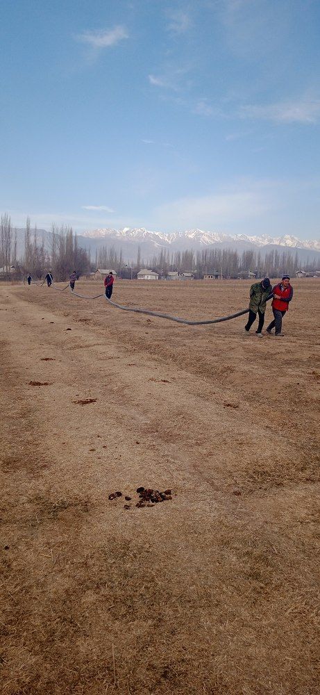 Photo #6904118