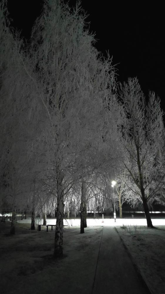 Photograph by Елена