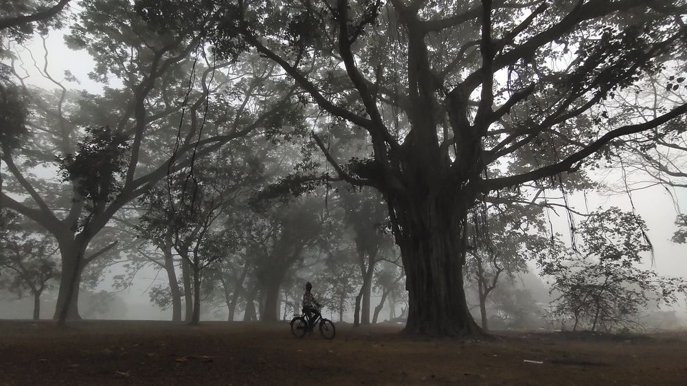Photograph by SUBRATA DAS