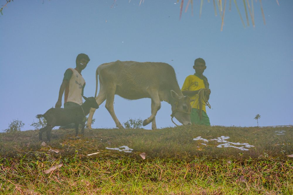 Photograph by SUBRATA DAS