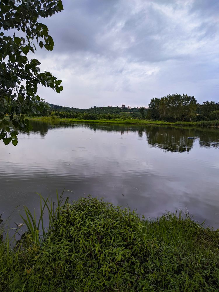 Photograph by mehdi shokravi