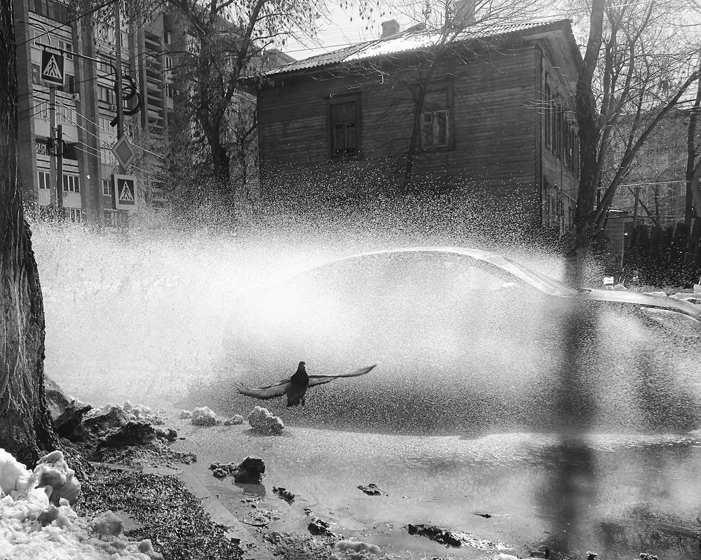 Photograph by Ирина Корпачева