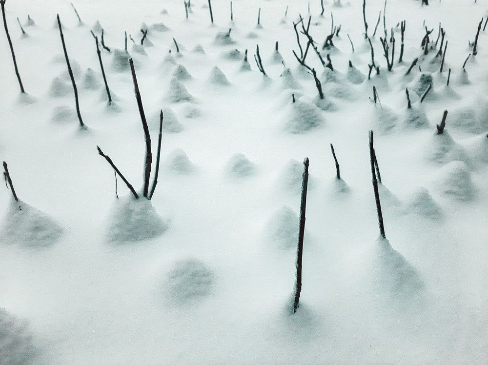Фотография автора Дмитрий Нефёдов