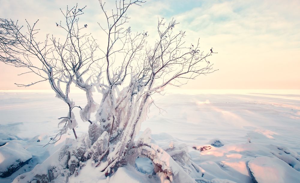 Photograph by Средин Михаил