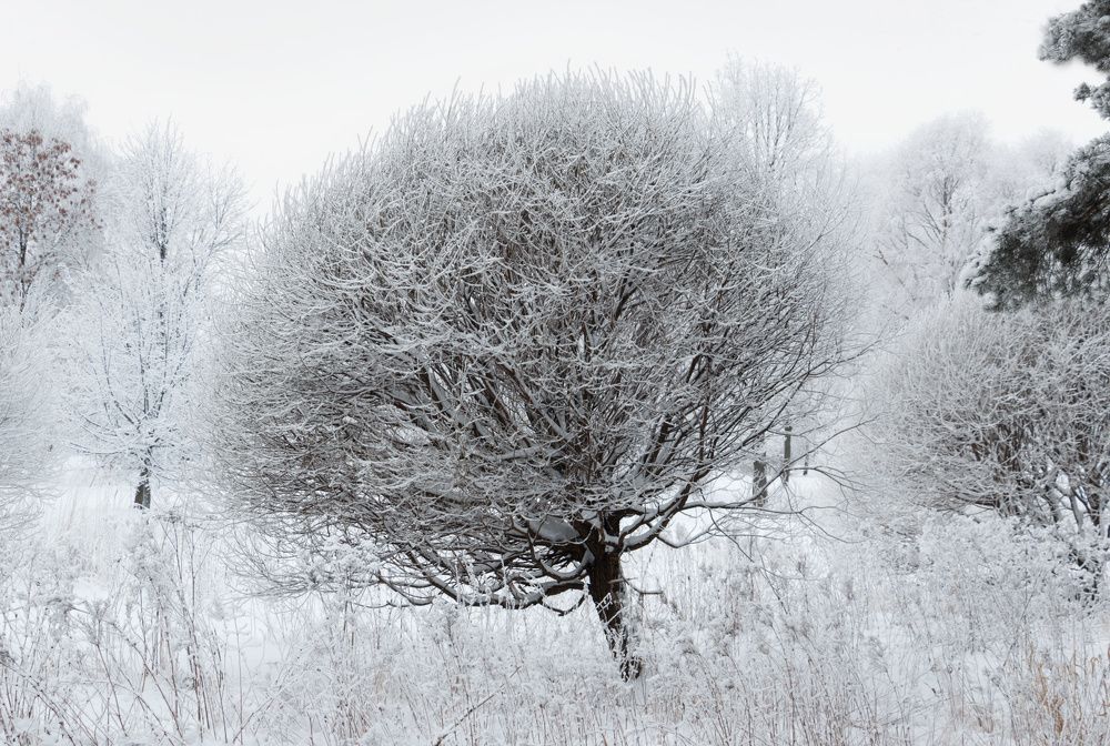 Photograph by Средин Михаил