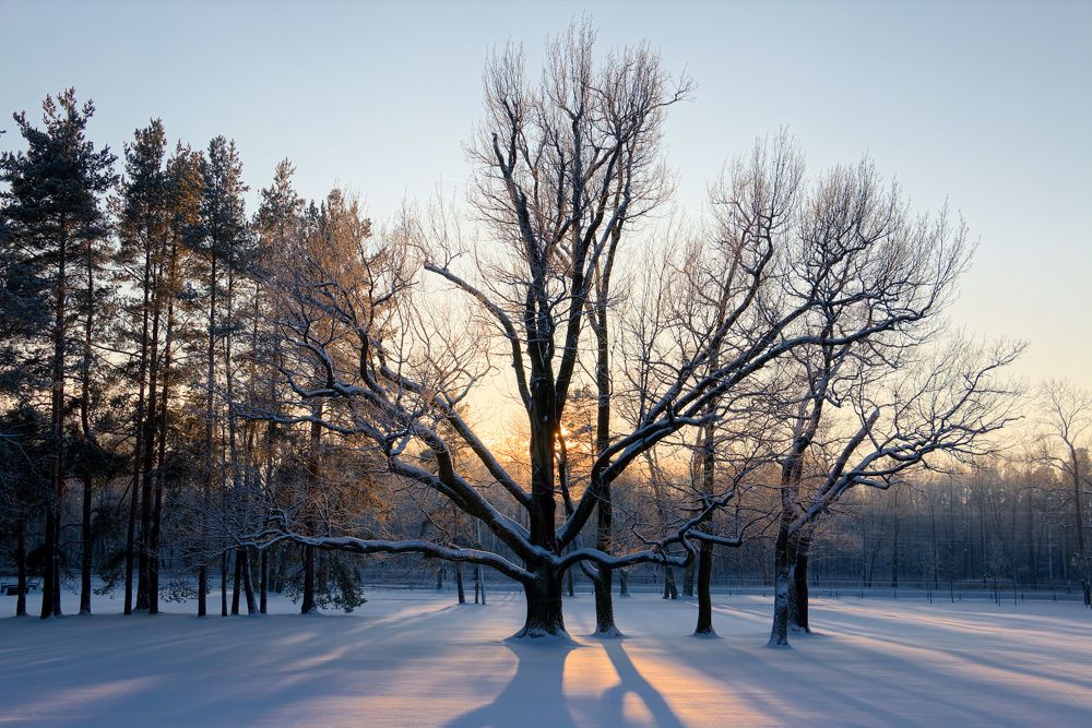 Photograph by Средин Михаил