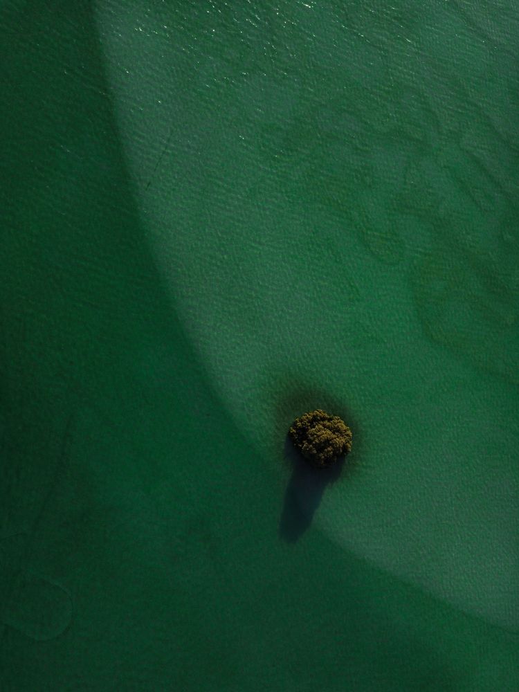 Photograph by Amar Habeeb