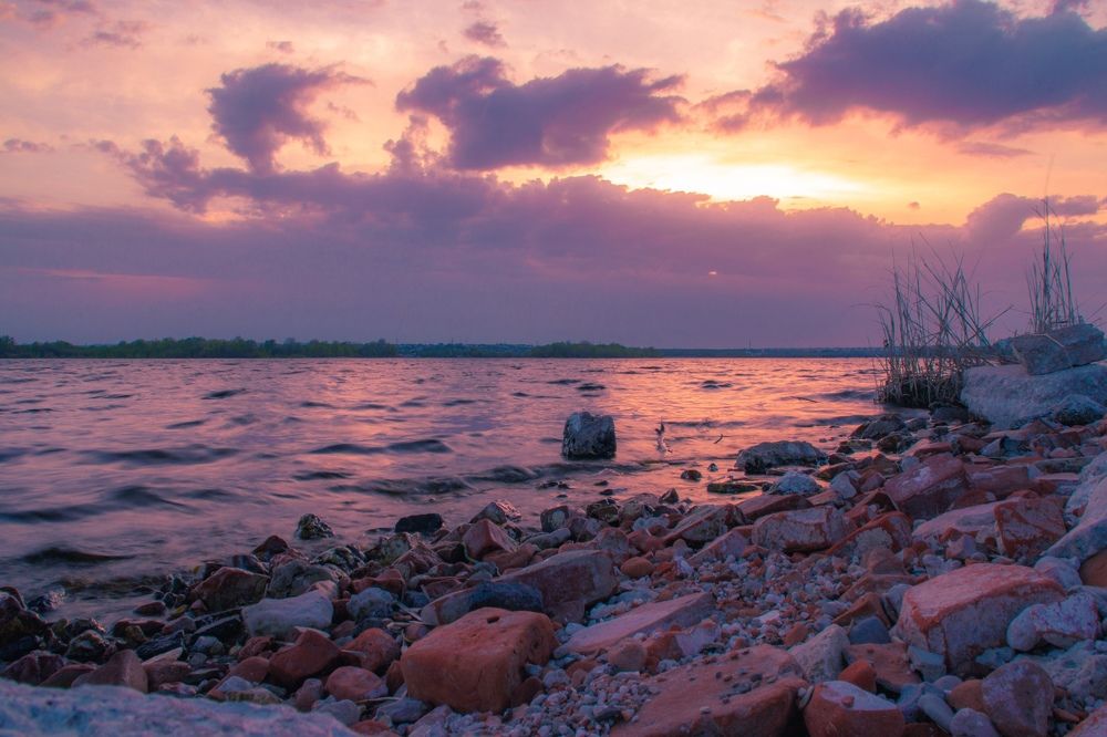 Photograph by Дарья