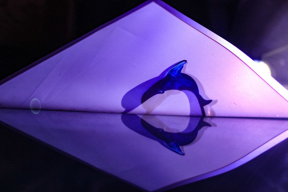 Photograph by Анастасия Чадина