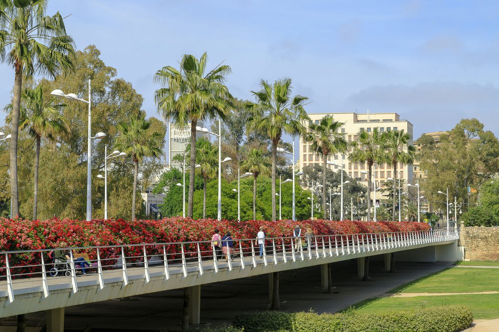 Photograph by Ángel Ros