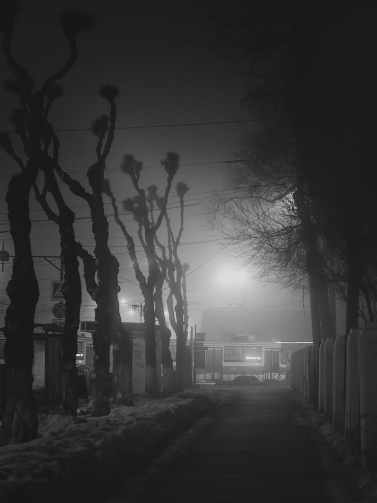 Photograph by Ирина Корпачева