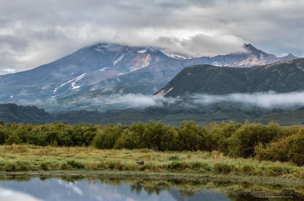 Photograph by Александр Поборчий